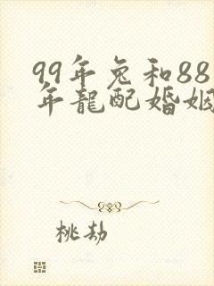 99年兔和88年龙配婚姻好不好封面