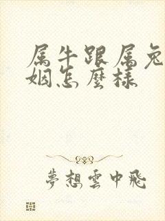 属牛跟属兔的婚姻怎么样封面