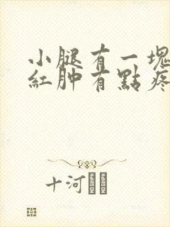 小腿有一块莫名红肿有点疼