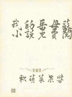 我的岳母苏沛真小说免费阅读