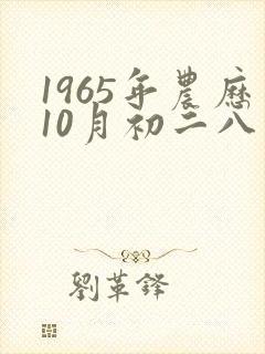 1965年农历10月初二八字命运