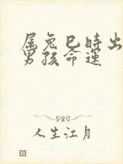 属兔巳时出生的男孩命运