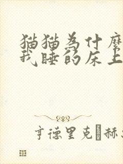 猫猫为什么要在我睡的床上尿