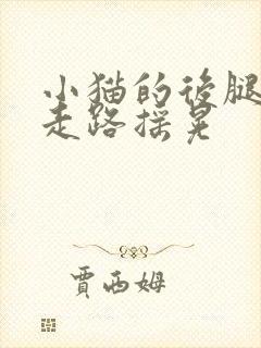 小猫的后腿无力走路摇晃