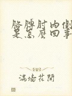 胳膊肘内侧窝疼是怎么回事封面