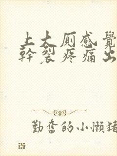 上大厕感觉肛门干裂疼痛出现出血