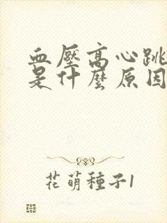 血压高心跳加速是什么原因封面