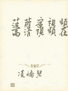 菠萝蜜视频免费高清视频在线观看