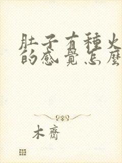 肚子有种火辣辣的感觉怎么回事封面