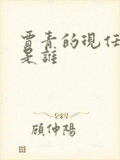 贾青的现任丈夫是谁封面