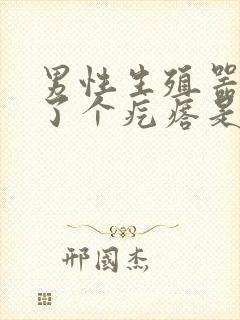 男性生殖器上长了个疙瘩是什么