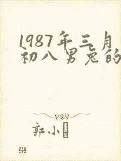 1987年三月初八男兔的命运