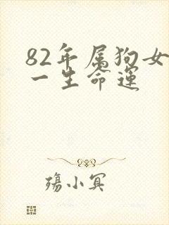 82年属狗女的一生命运封面