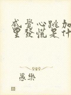 感觉心跳加速心里发慌是什么原因封面