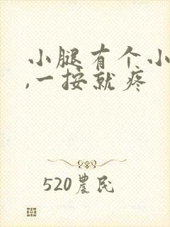 小腿有个小疙瘩,一按就疼