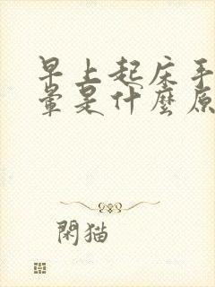 早上起床手麻头晕是什么原因