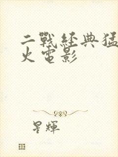 二战经典猛烈开火电影