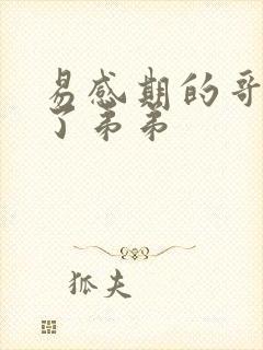 易感期的哥哥c了弟弟