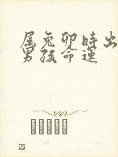 属兔卯时出生的男孩命运封面