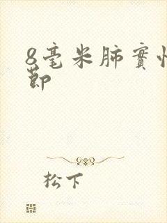 8毫米肺实性结节