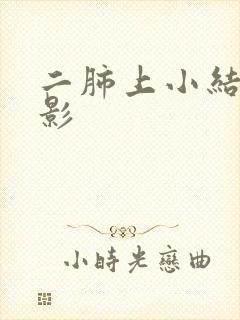 二肺上小结节样影