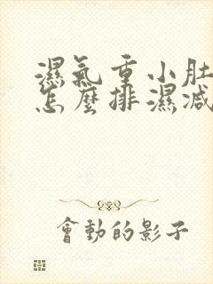 湿气重小肚子大怎么排湿减肥