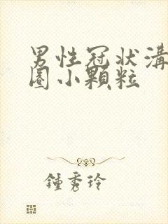 男性冠状沟有一圈小颗粒封面