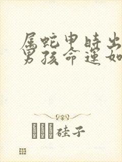 属蛇申时出生的男孩命运如何封面