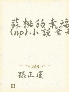 苏桃的幸福生活(np)小说笔趣阁沐沐