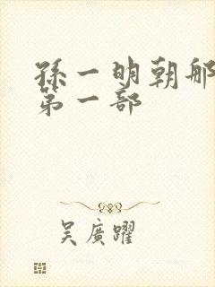 孙一明朝那些事第一部