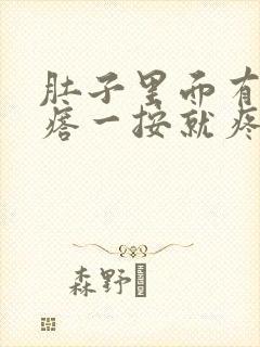 肚子里面有硬疙瘩一按就疼怎么回事