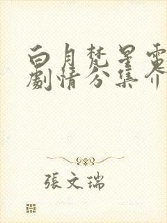 白月梵星电视剧剧情分集介绍