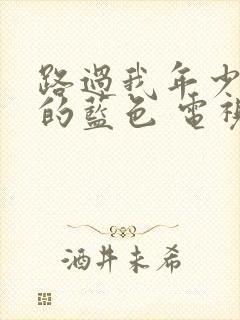 路过我年少时光的蓝色 电视剧