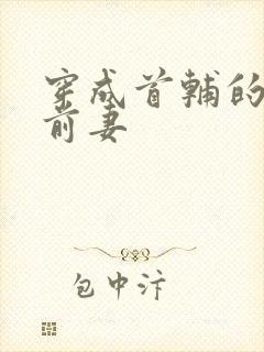 穿成首辅的炮灰前妻封面