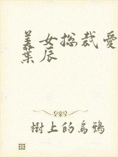 美女总裁爱上我叶辰