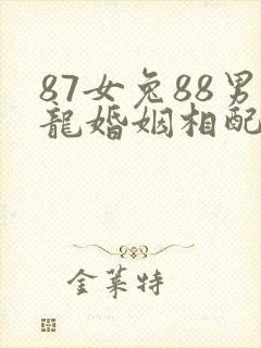 87女兔88男龙婚姻相配吗