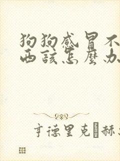 狗狗感冒不吃东西该怎么办