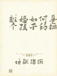 离婚如何争取两个孩子的抚养权