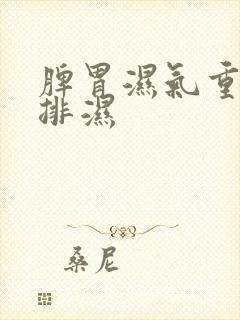 脾胃湿气重如何排湿