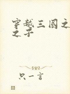 穿越三国之袁绍之子封面