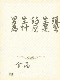 男生的生殖器官为什么是弯的封面