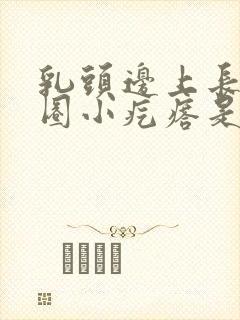 乳头边上长了一圈小疙瘩是咋回事