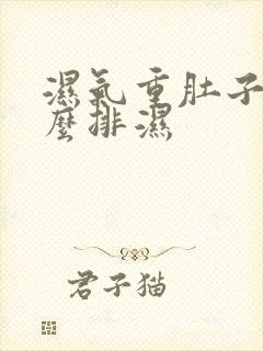 湿气重肚子大怎么排湿