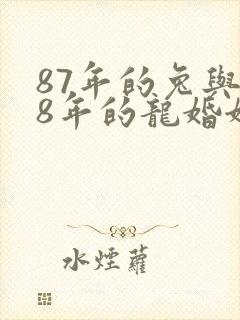 87年的兔与88年的龙婚姻会是怎样