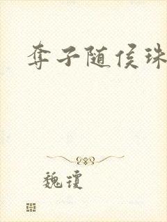 夺子随侯珠封面