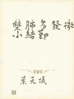 双肺多发微小,小结节封面