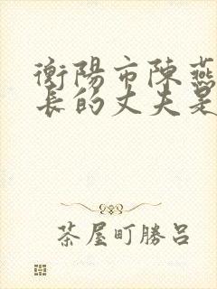 衡阳市陈燕副区长的丈夫是谁封面