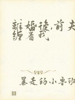 离婚后,前夫老缠着我