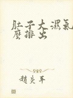 肚子大湿气重怎么排出封面