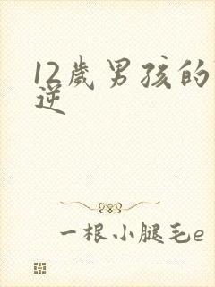 12岁男孩的叛逆